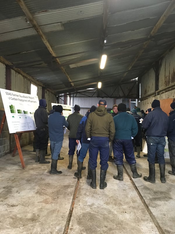 Farm walk