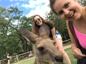Koala Sanctuary, Brisbane