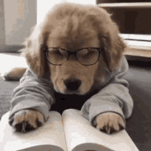 Online College Experience: Studying