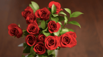 Red Roses