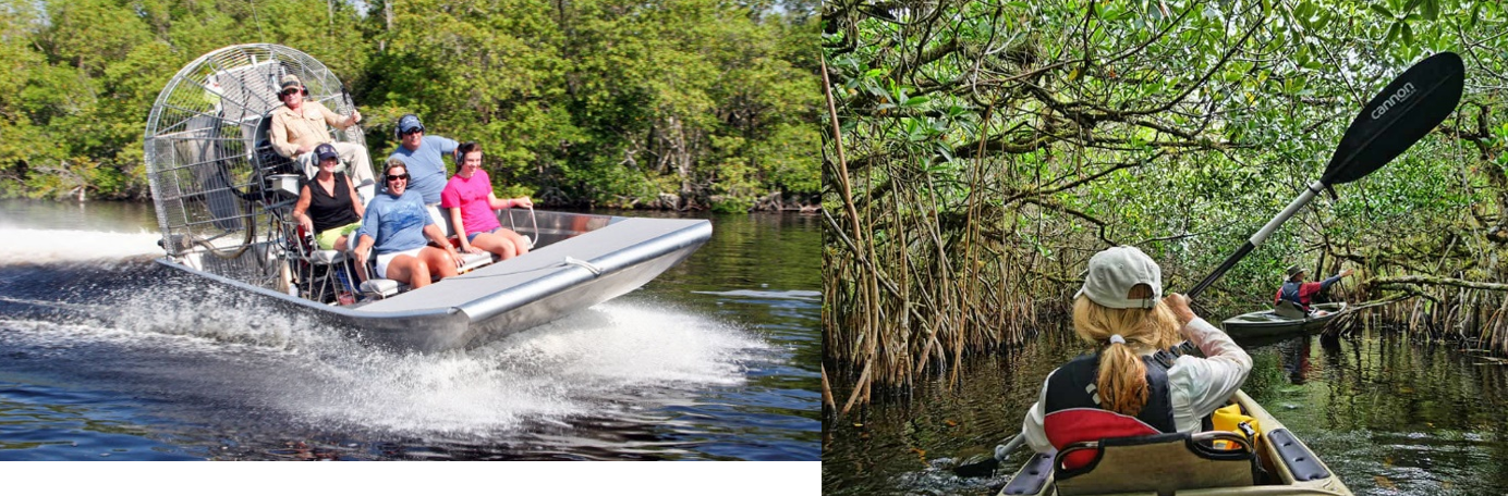 The Everglades