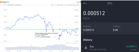 Image of an amateur cryptocurrency investor's initial BTC investment