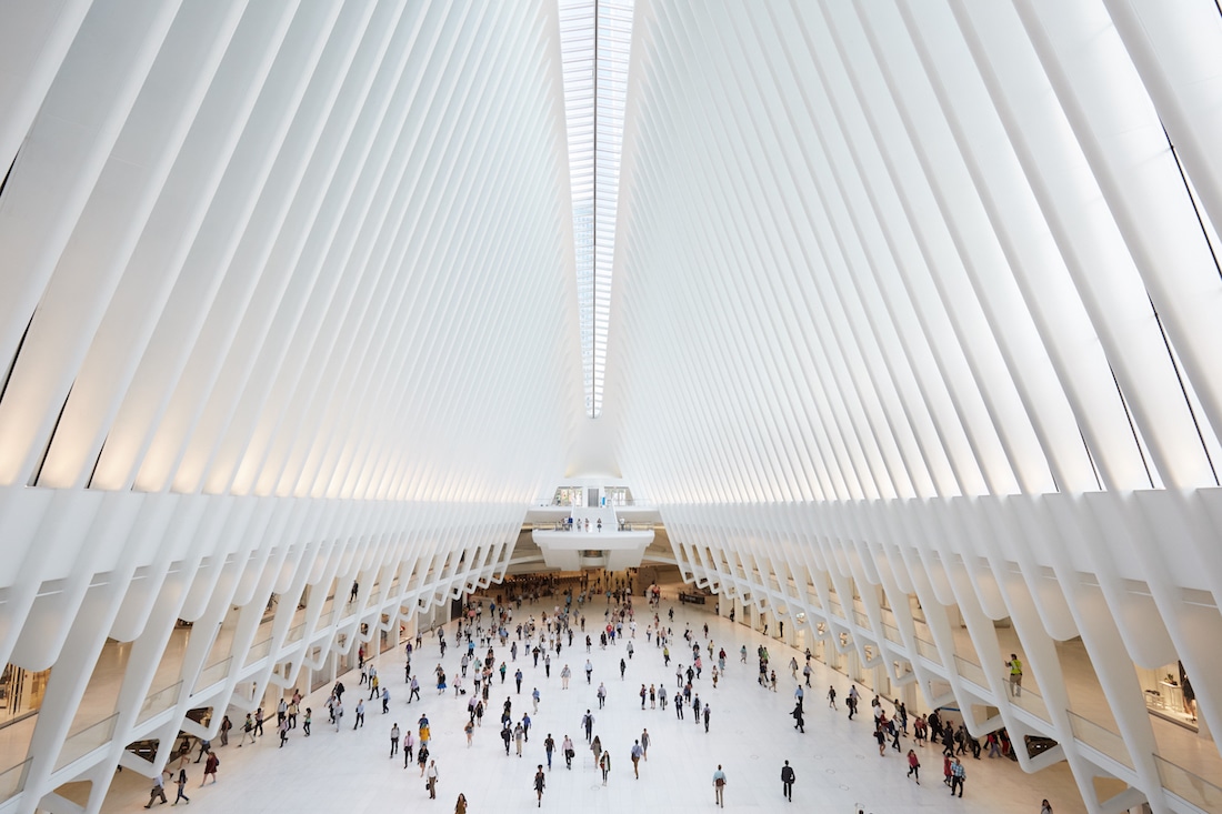 oculus