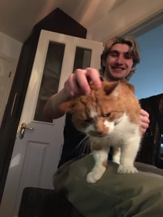 pets