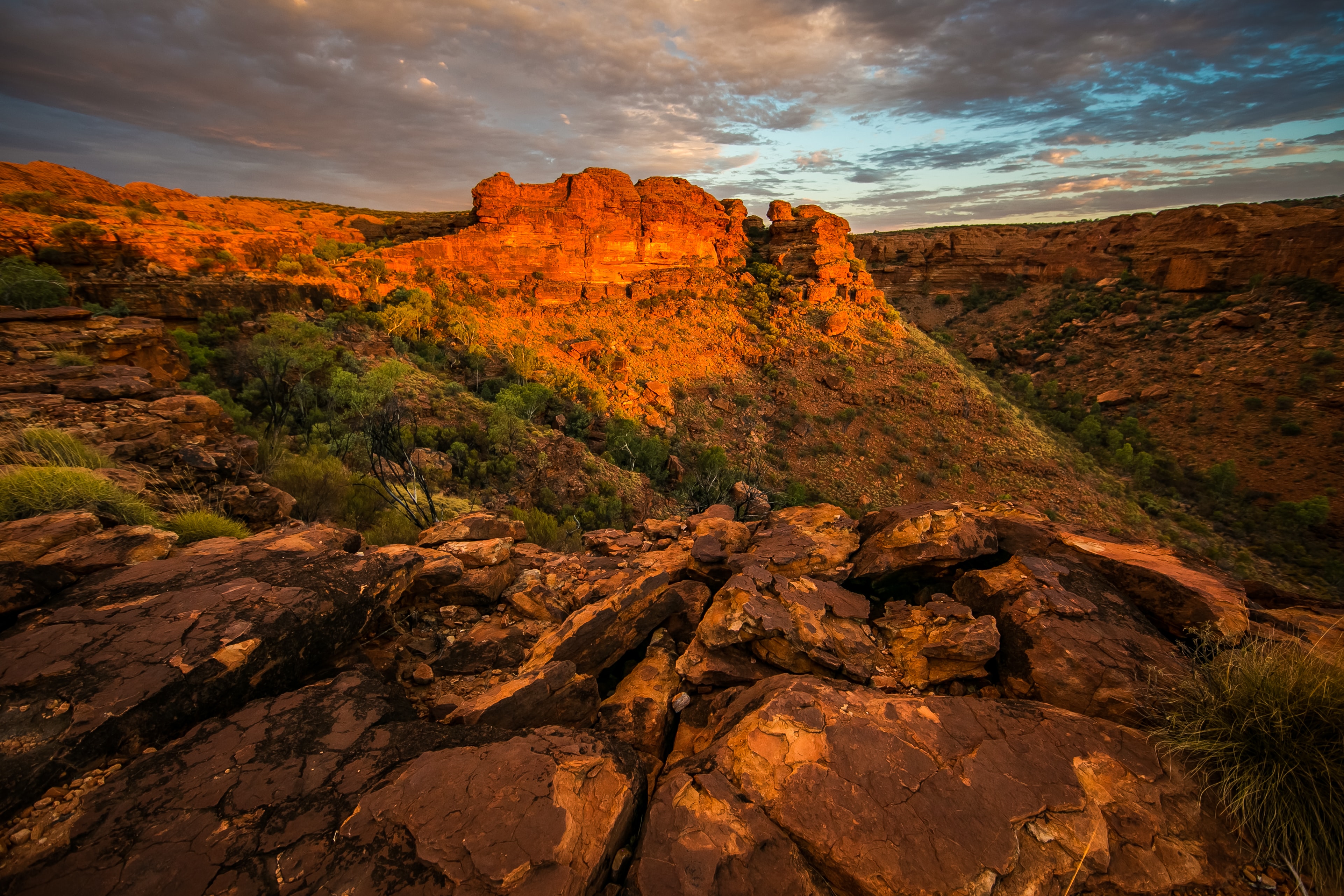 Australia Desert