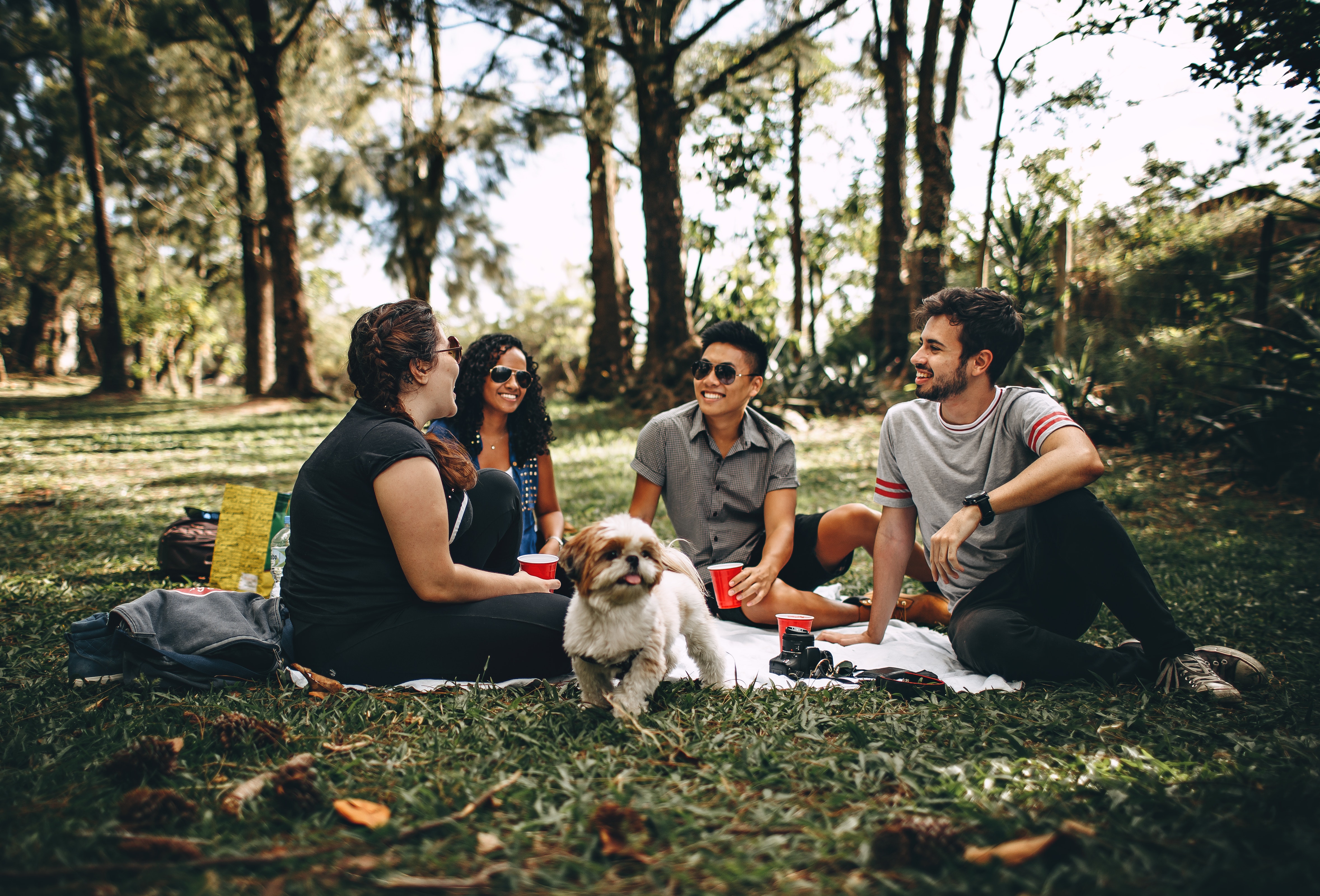 picnic-with-friends