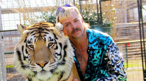 tiger-king