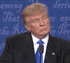 trump ha