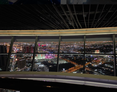 vegas 8