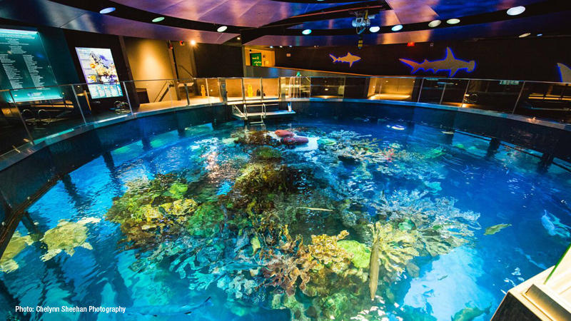 aquarium