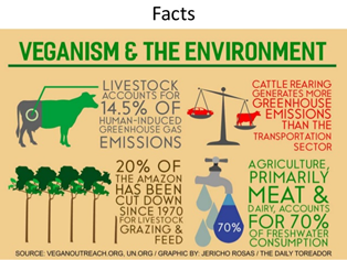Facts about a vegan diet